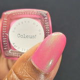 Red Eyed Lacquer | Coleus