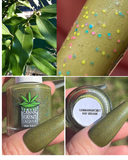 Canna Paint | Bay Dream