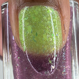 Aura Bloom Polish | Purple Queen Bean