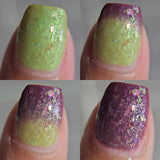 Aura Bloom Polish | Purple Queen Bean