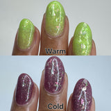 Aura Bloom Polish | Purple Queen Bean